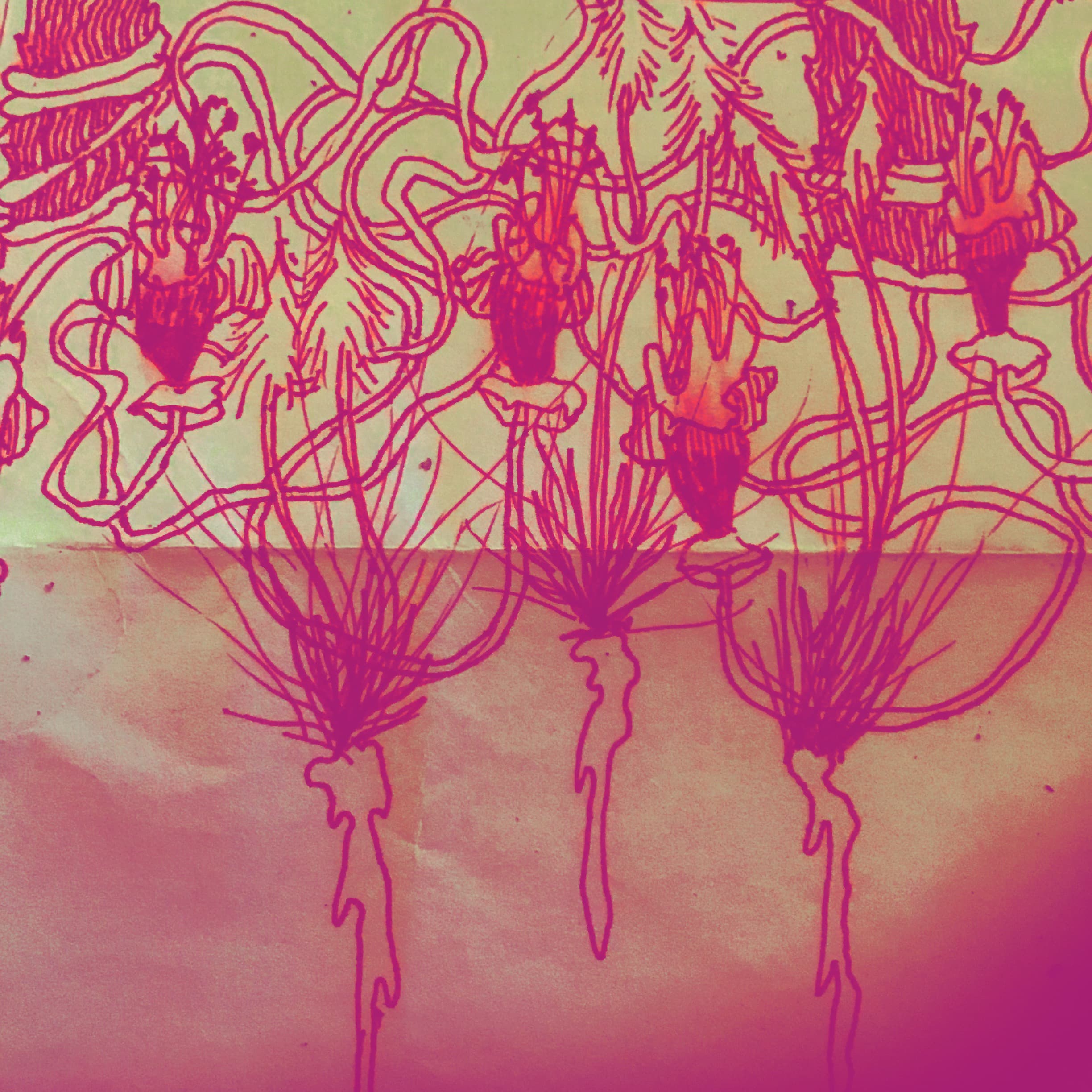 organic doodle, ink on paper, 2019